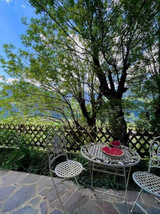 Mountain Chalet مايرهوفن المظهر الخارجي الصورة