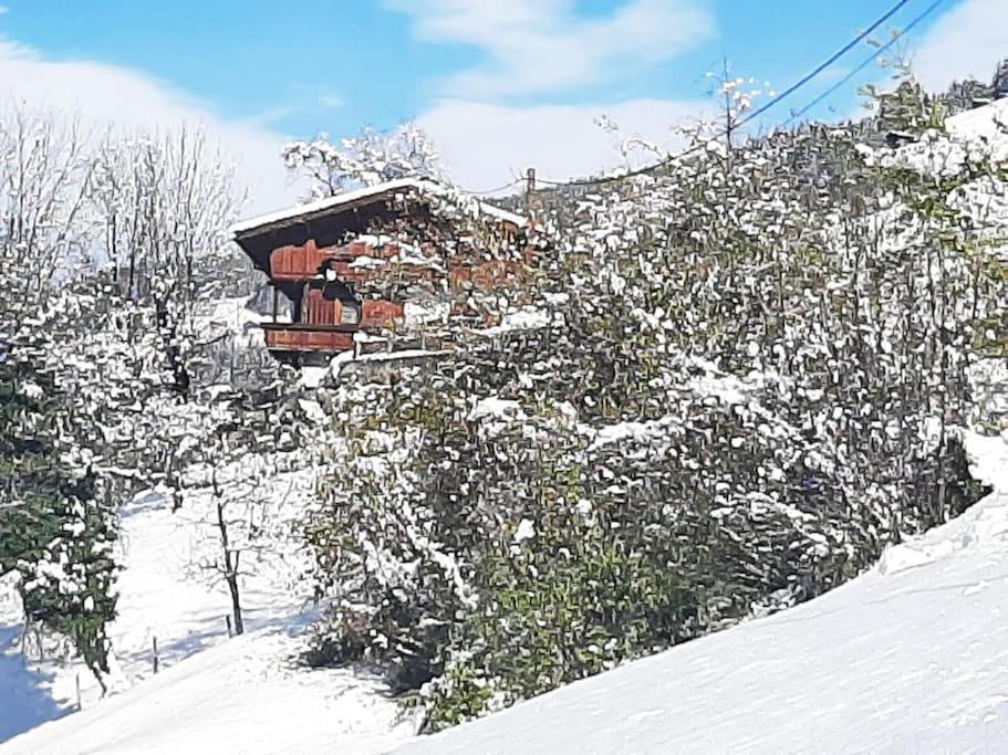 Mountain Chalet مايرهوفن المظهر الخارجي الصورة